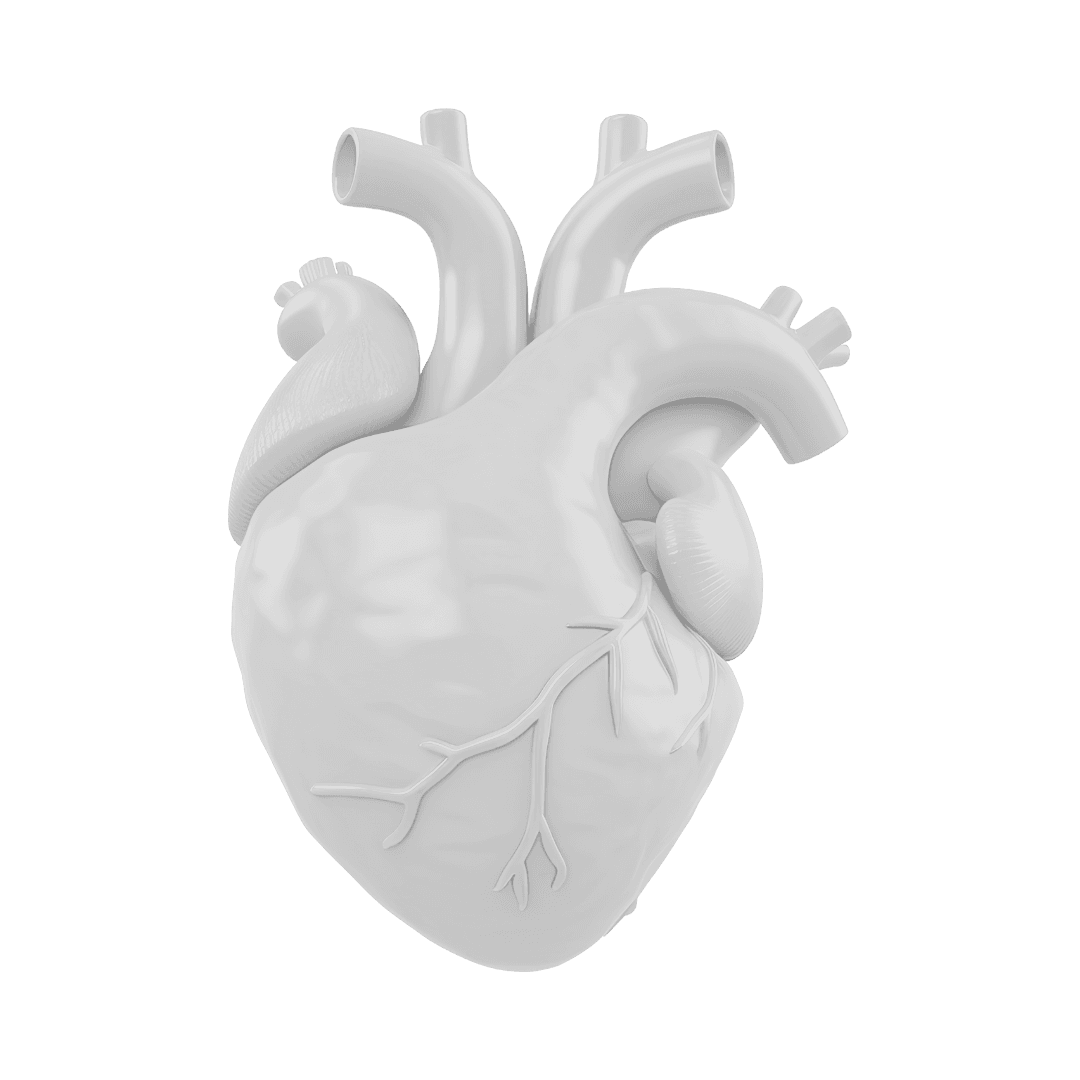 Section 0 background