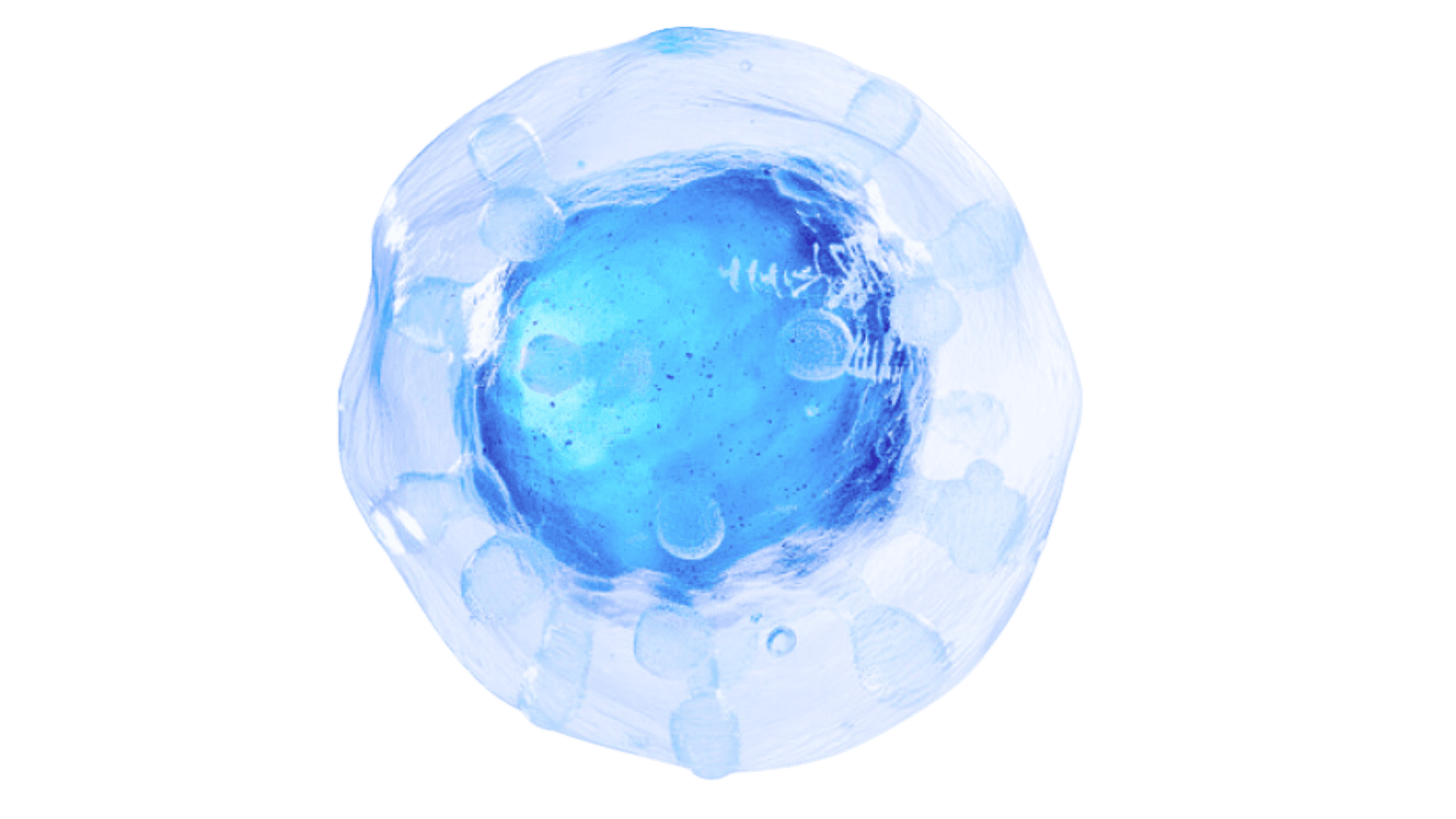 Section 4 background