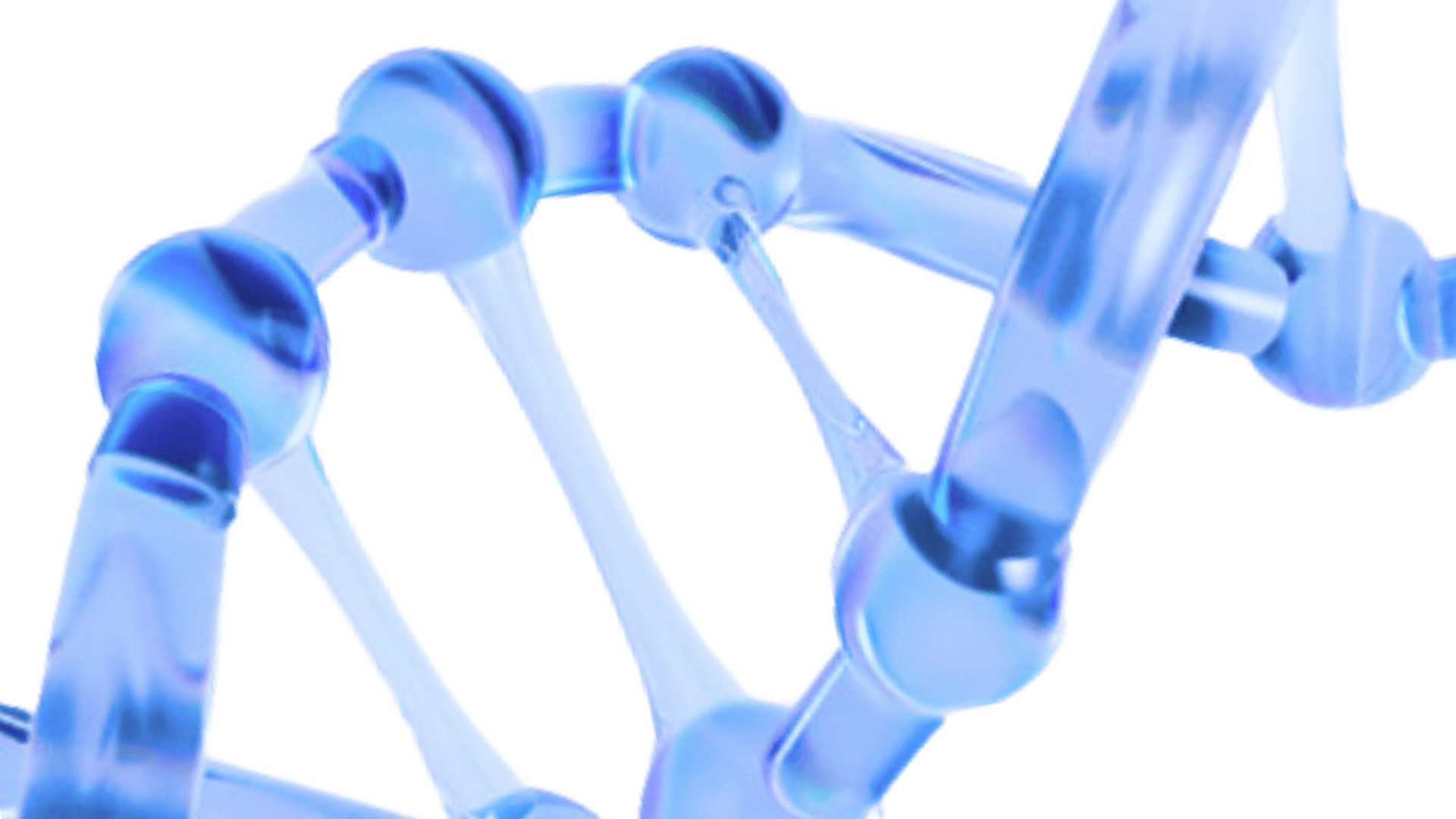 Section 1 background